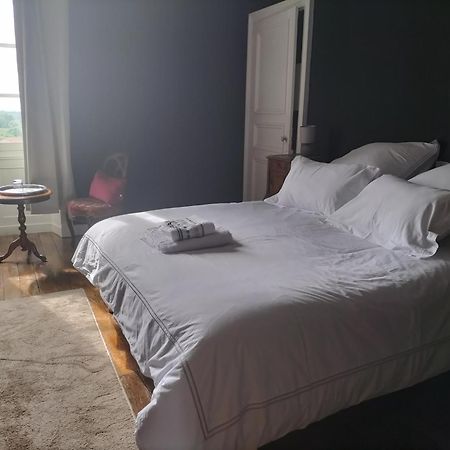 Bed and Breakfast Chateau Le Puybelliard à Chantonnay Extérieur photo